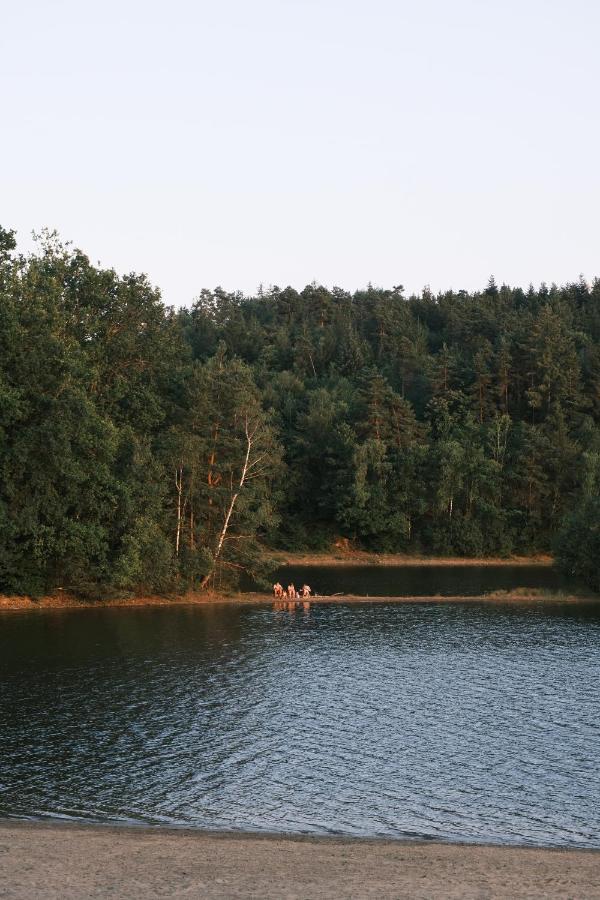 Lodge Avec Spa Privatif - Foret Et Lac Liginiac Esterno foto