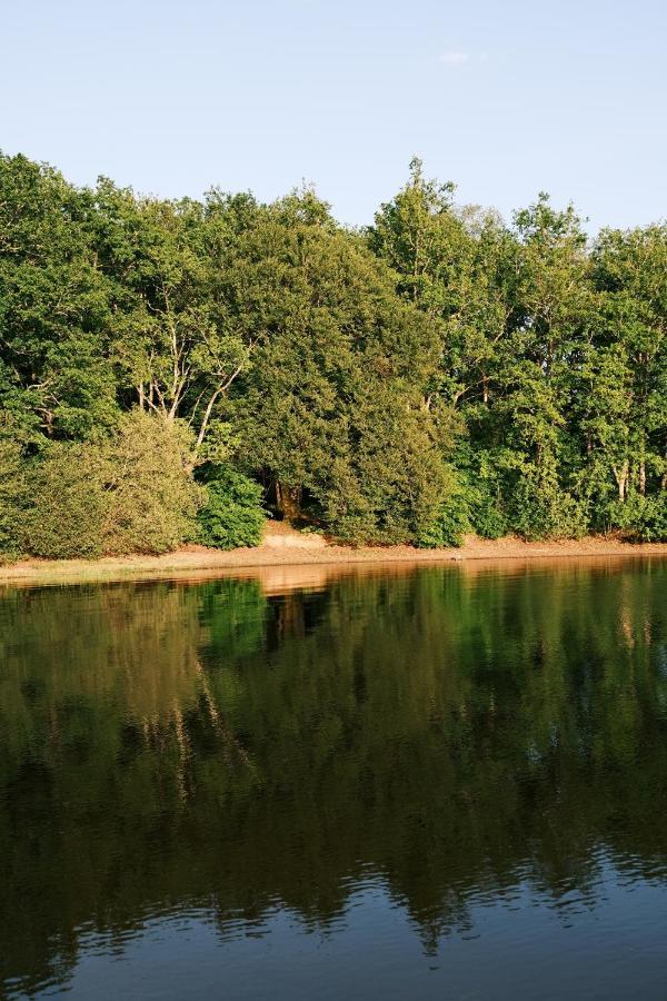 Lodge Avec Spa Privatif - Foret Et Lac Liginiac Esterno foto