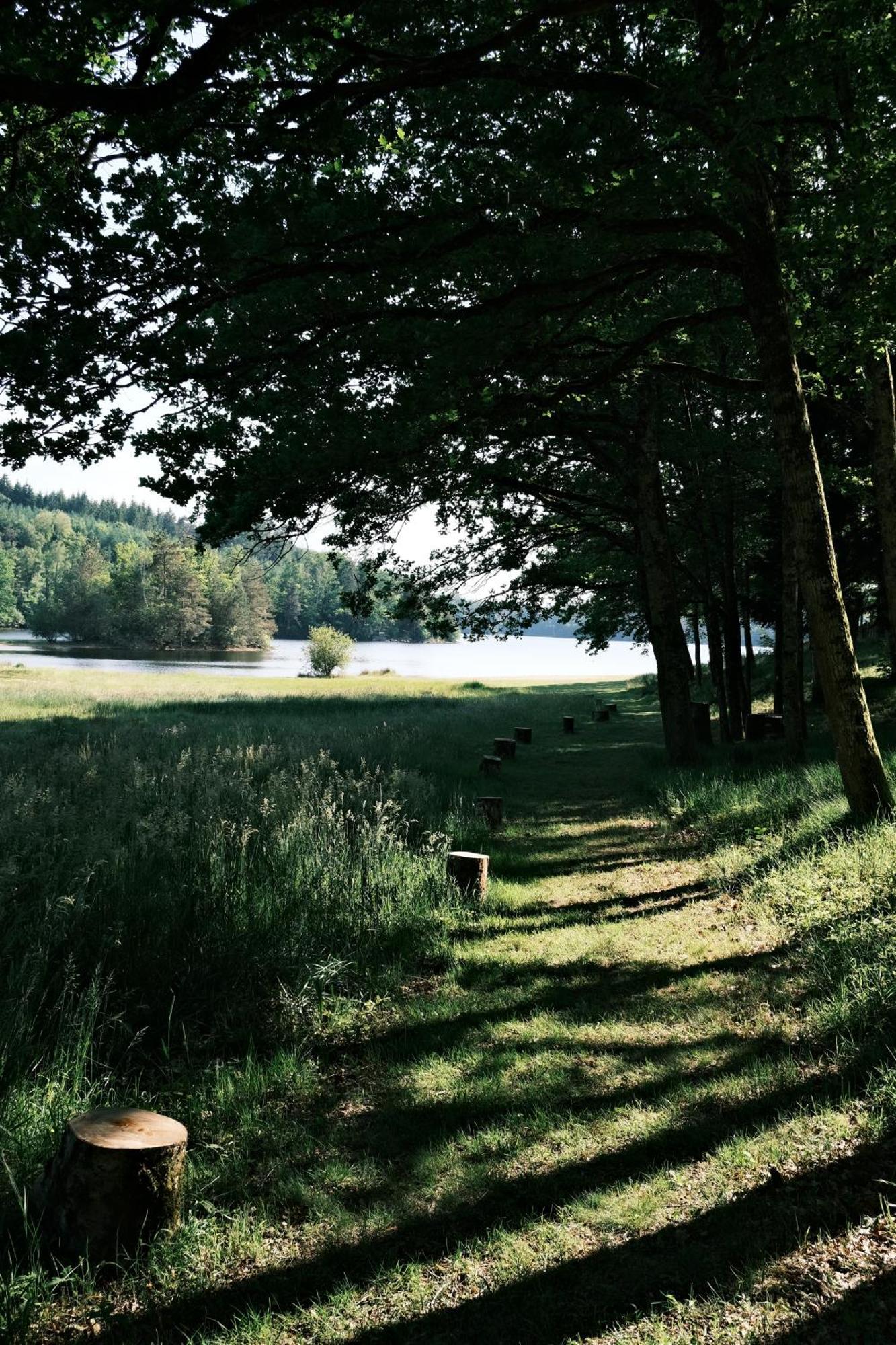 Lodge Avec Spa Privatif - Foret Et Lac Liginiac Esterno foto