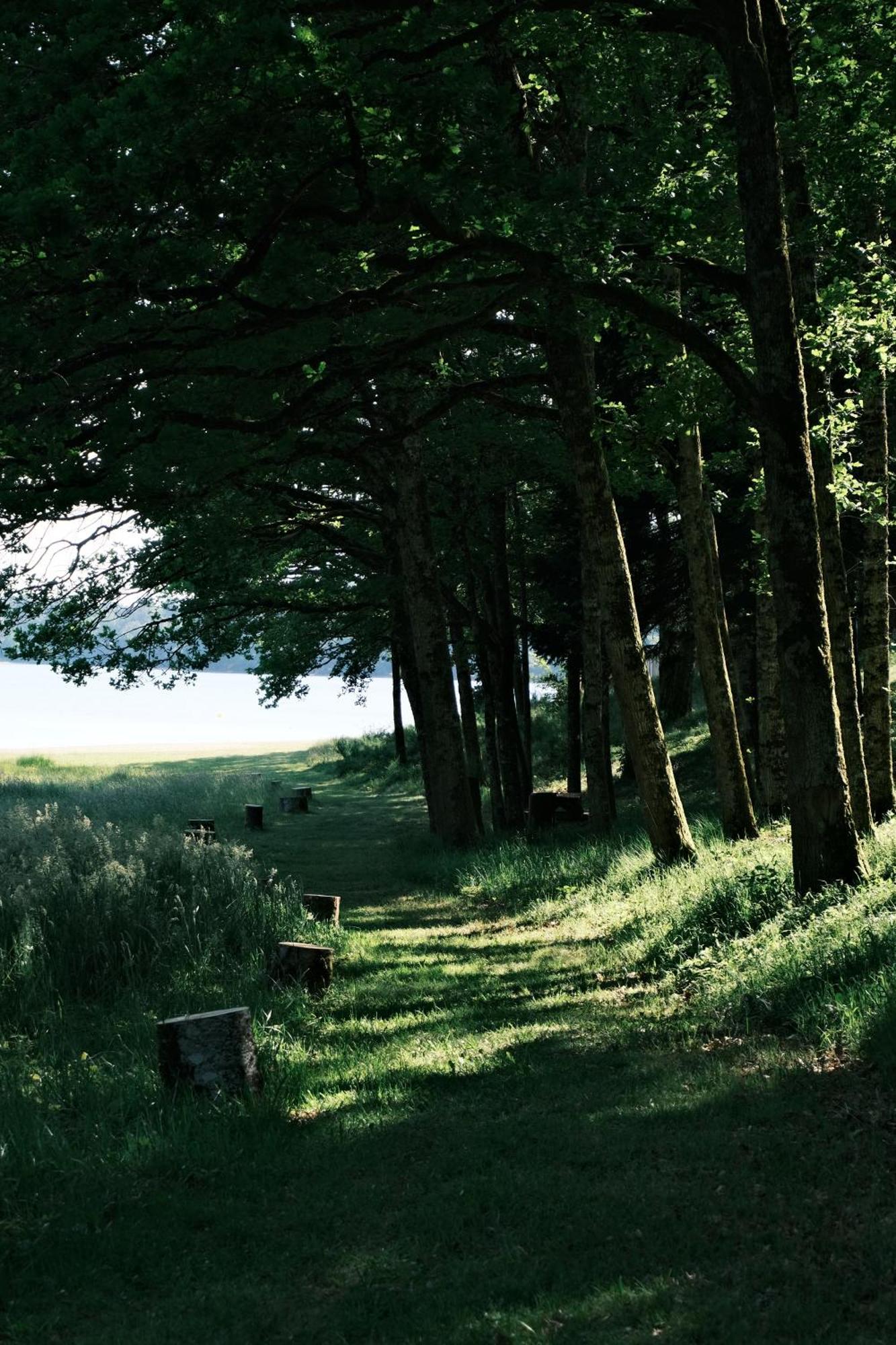 Lodge Avec Spa Privatif - Foret Et Lac Liginiac Esterno foto