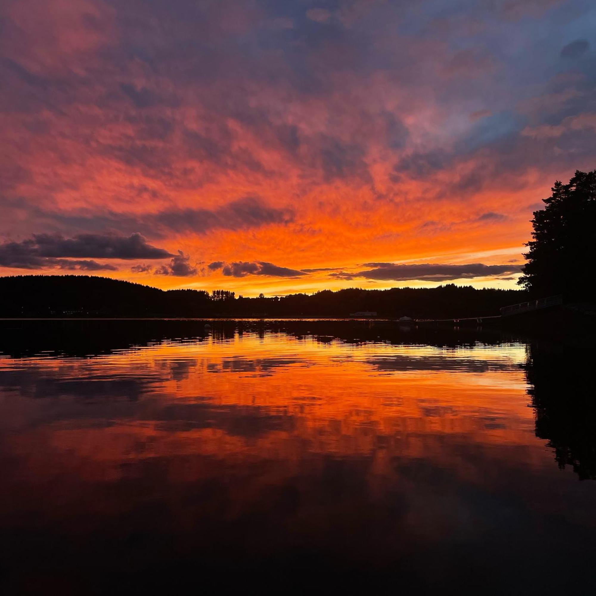 Lodge Avec Spa Privatif - Foret Et Lac Liginiac Esterno foto